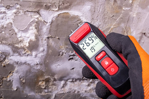 Best Mold Testing  in Columbia, SC