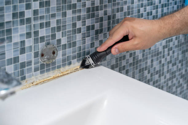 Best Mold Testing and Removal  in Columbia, SC