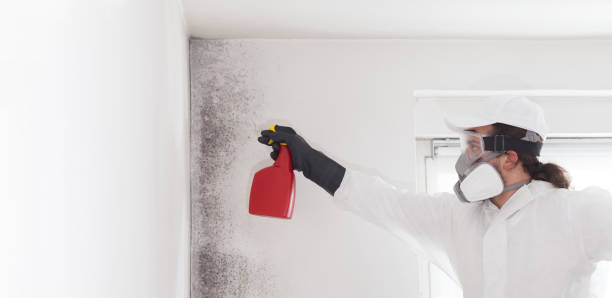 Mold Testing and Removal in Columbia, SC